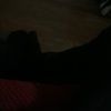 zackwalker818